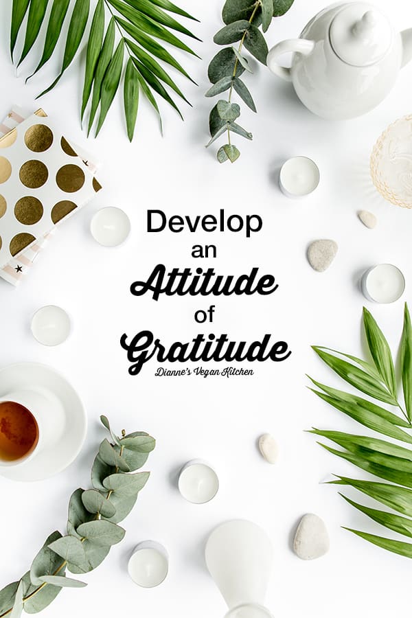 develop an attitude of gratitude - plants, tea and text
