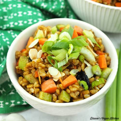 Worthy Brown Rice Potluck-Worthy Brown Rice Salad – Dianne's Vegan Kitchen