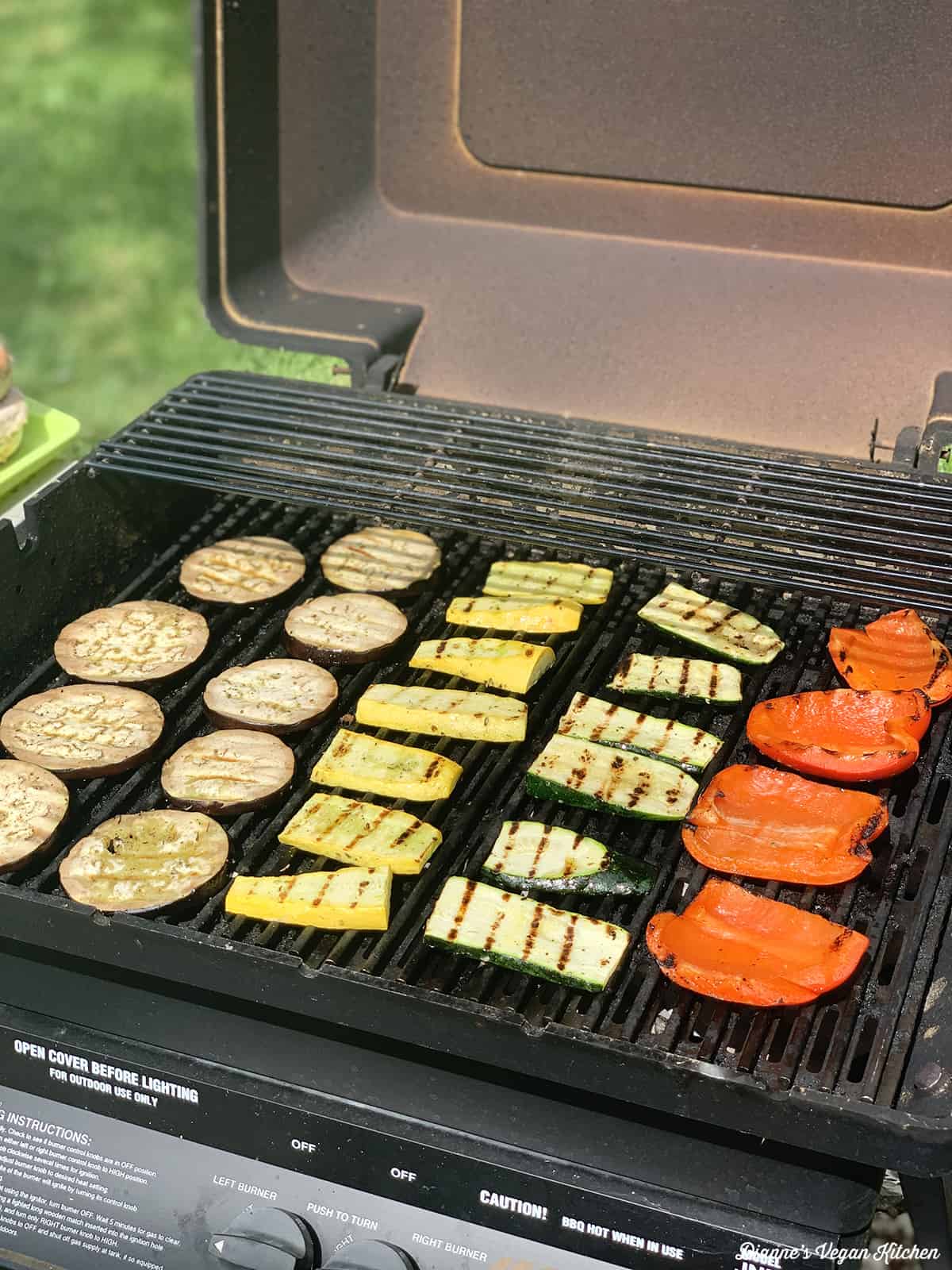 vegetables on the grill 