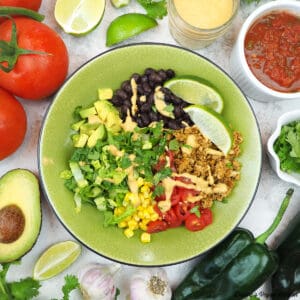 vegan sofritas burrito bowl with tomatoes, avocado, cheese sauce, limes, cilantro, and salsa square